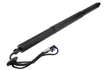 Gasveer, Achterklep OEM 2538900600 - € 69,95