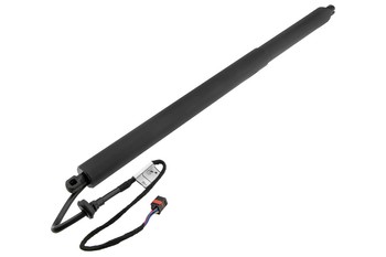 Gasveer, Achterklep OEM 670109047 - € 79,95
