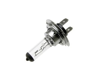 10 Stuks H7 Lampen Wit 12V 55W PX26D - € 15,99