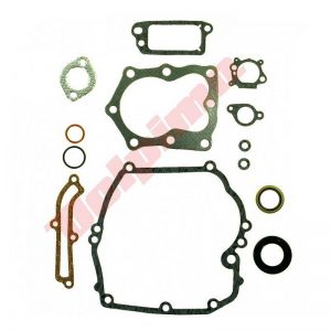 Pakkingset passend op B&S 14 QUANTUM 493263, 496117, 497316