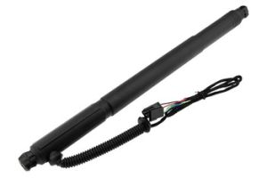 Aandrijfeenheid, achterklep (Elektromotor) OEM 51244887653 - € 6