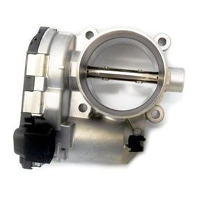 Gasklephuis OEM 1110980050