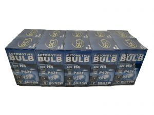 10 Stuks H4 Basic 12V 60/55W P43T  -  € 15,99