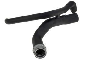 Radiateurslang OEM 9065012482