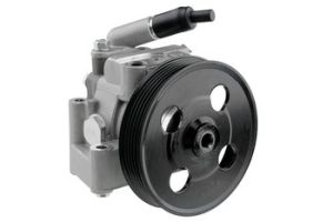 Hydraulische Pomp OEM 1674663 - € 89,95