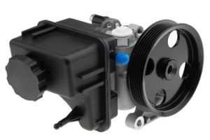 Hydraulische Pomp OEM 0064667801 - € 69,95