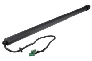 Gasveer, Achterklep OEM 9830770480 - € 69,95