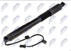 Gasveer, Achterklep OEM 1063441-00-C - € 79,95
