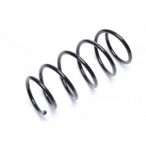 Chassisveer Achteras Focus OEM1124066 - € 21,95