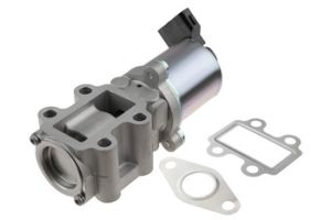 EGR Klep OEM 256200R020