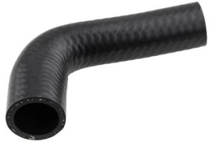 Radiateurslang OEM 6112030482
