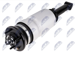 Pneumatische veerpoot OEM LR019993 - € 249,95