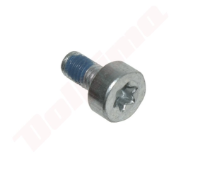 SCHROEF VOOR STIHL T27 M5X10 ( 9022 399 0950 )